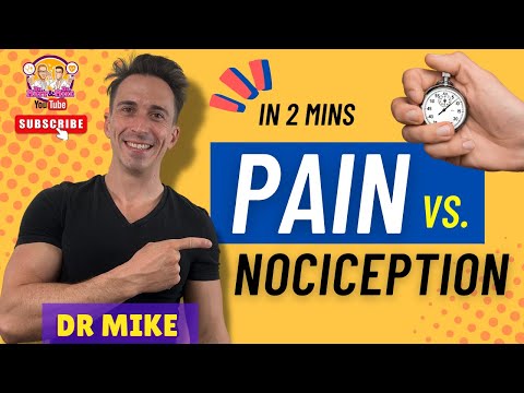 Understanding Nociceptive Pain: Types, Phases, and Relief