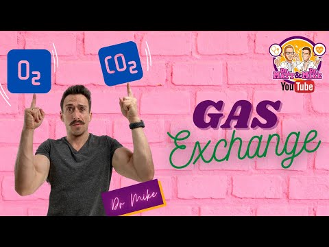 Understanding Partial Pressure of Carbon Dioxide (PaCO2)