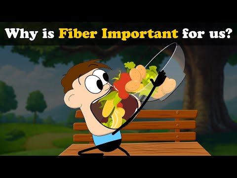 Understanding Roughage: Definition and Food Options