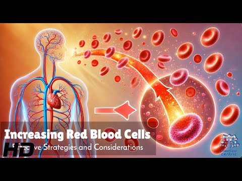 Effective Strategies to Increase Your Red Blood Cell Count post thumbnail image