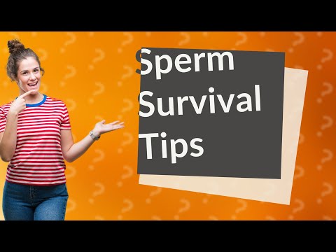 Understanding Sperm Lifespan After Ejaculation: Key Insights
