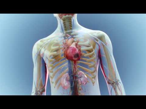 Understanding Bayer Back & Body: Uses and Side Effects