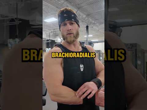 Achieving Lean Muscle: How Hammer Curls Support Your Fitness