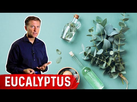 7 Surprising Benefits of Eucalyptus Leaves You’ll Love
