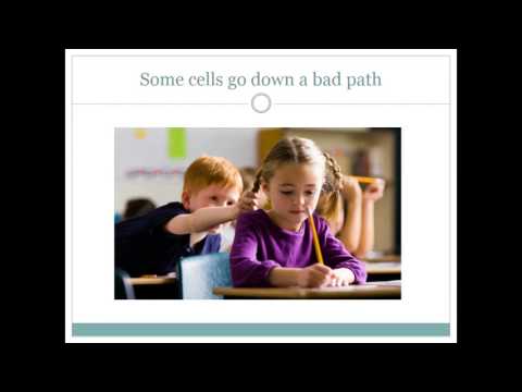 What Triggers Immunosuppression? Key Causes and Risks post thumbnail image