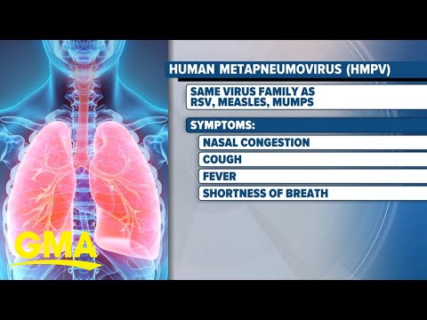 Understanding Human Metapneumovirus: Symptoms and Recovery
