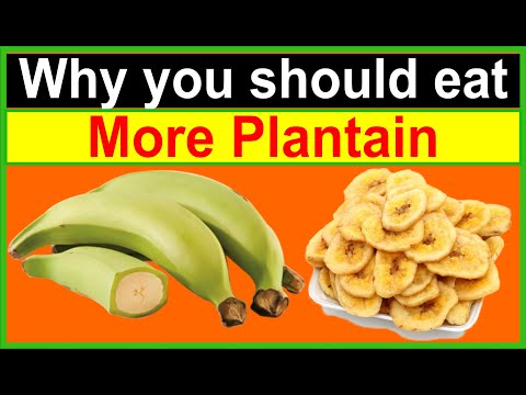 Plantains: A Nutritional Powerhouse for Health and Wellness
