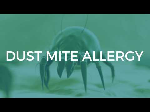 Understanding Dust Mite Allergy: Symptoms, Causes, and Care