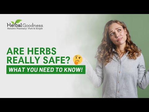 Key Insights for Safe Herbal Supplement Use in Wellness post thumbnail image
