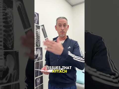 Understanding Shoulder Sprains and Strains: Key Insights