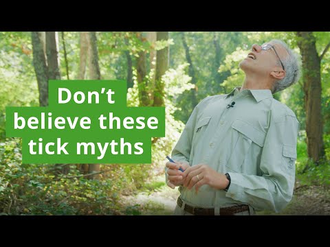 Tick Infestations: What You Need to Know for Prevention post thumbnail image