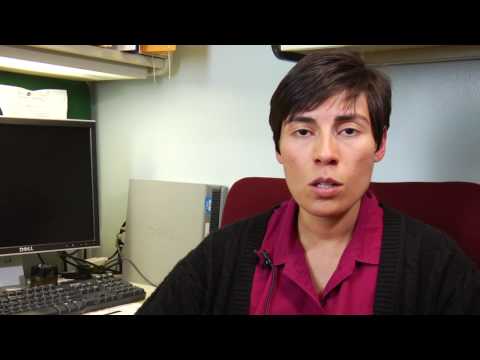 Do Leptin Hormones and Supplements Help Manage Obesity?