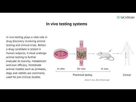 In Vivo vs. In Vitro: Key Insights for Health Treatments