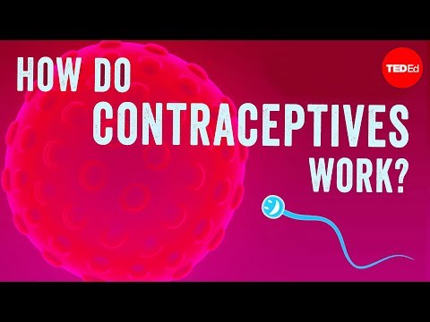 Understanding How Long Birth Control Takes to Be Effective