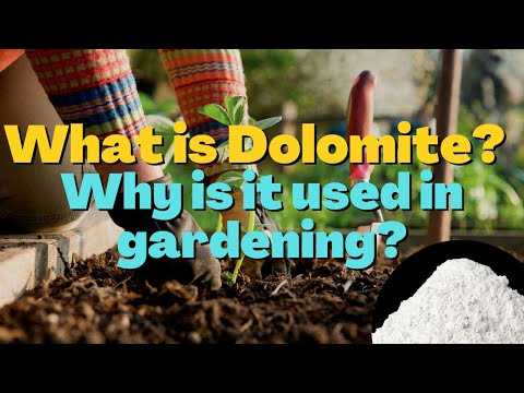 Understanding Dolomite: Uses, Side Effects, and Health Tips