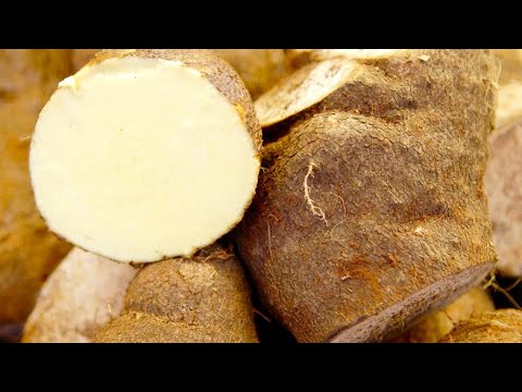 11 Yams Benefits for Health: Nutrition for Wellness and Care
