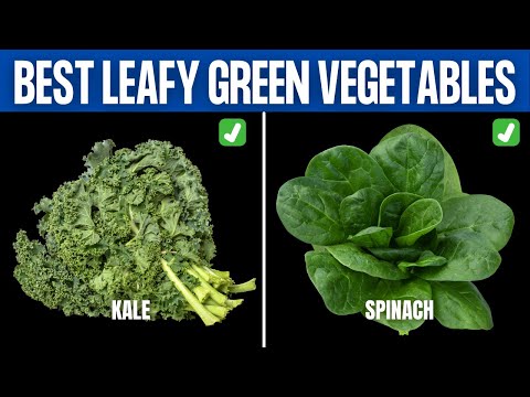 13 Leafy Greens That Will Boost Your Health Today post thumbnail image