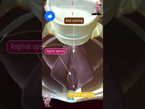 Understanding Vagina Health: What I Learned After Surgery