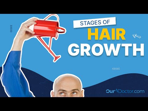 Understanding the Four Stages of Hair Growth for Better Care post thumbnail image