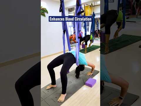 Elevate Your Practice: The Joys of Aerial Yoga