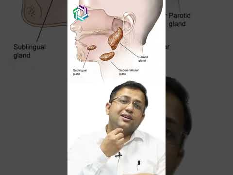Understanding Salivary Gland Cancer: Symptoms and Treatments
