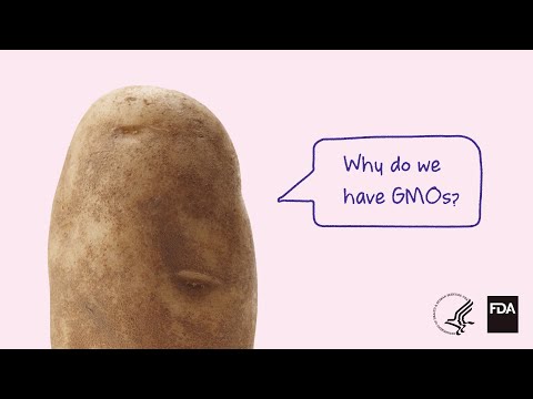 Understanding Genetically Modified Foods and Your Health post thumbnail image