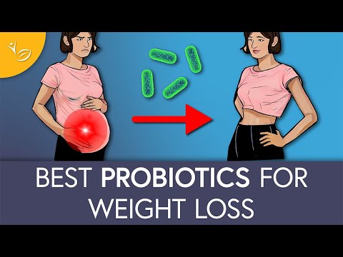 Top Probiotics for Weight Loss: A 2022 Health Review