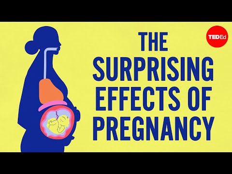 Understanding Your Body at 2 Months Pregnant: Symptoms & More
