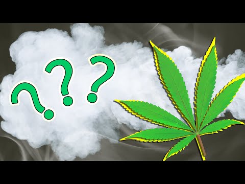 Understanding Bongs: Health Benefits, Risks, and Misconceptions