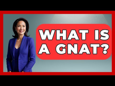 Essential Facts About Gnats and Their Health Risks