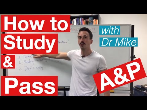 Understanding Physiology: The Key to Health and Disease