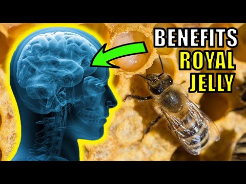 Royal Jelly: Benefits, Risks, and Fascinating Facts post thumbnail image