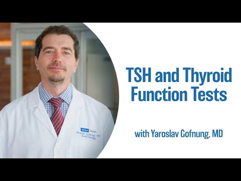 What Influences Your Thyroid Test Results?