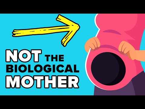 Surrogate Mothers: Understanding Surrogacy and Its Process post thumbnail image