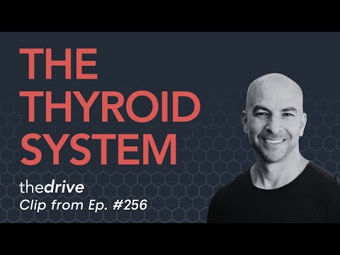 Understanding the Triiodothyronine Test and Its Importance