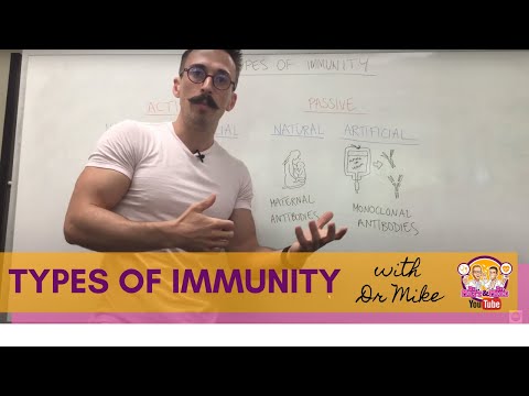 Understanding Active and Passive Immunity in Disease Prevention