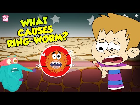 Understanding Ringworm: Is It Contagious and How It Spreads? post thumbnail image
