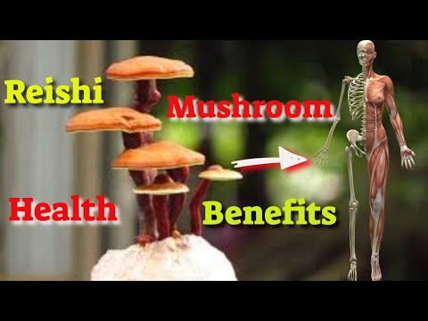 6 Benefits of Reishi Mushroom and Possible Side Effects