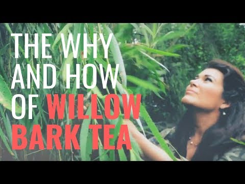 Understanding Willow Bark: A Natural Remedy for Pain Relief